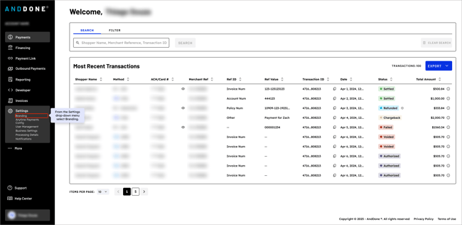 Payments Branding - 2